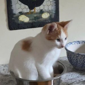 Meet your Posher, Rory